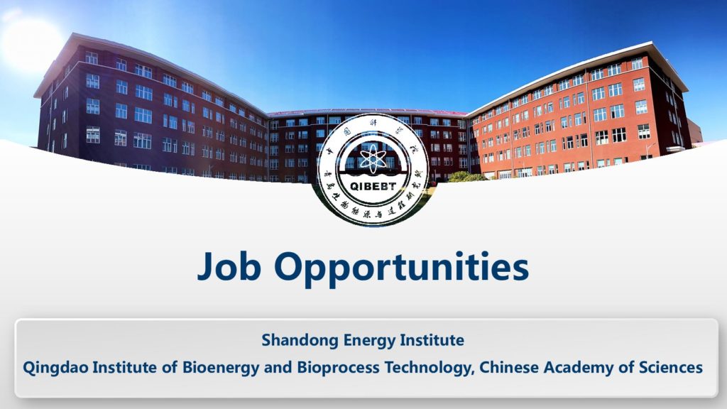 Recruitment offer for Shandong Energy Institute, Qingdao