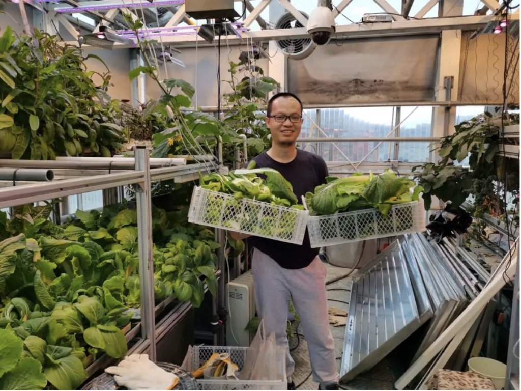 2022/03 Chinese antarctic teams are envied by their neighbours for fresh vegetables and fruits grown in antarctic plant factories