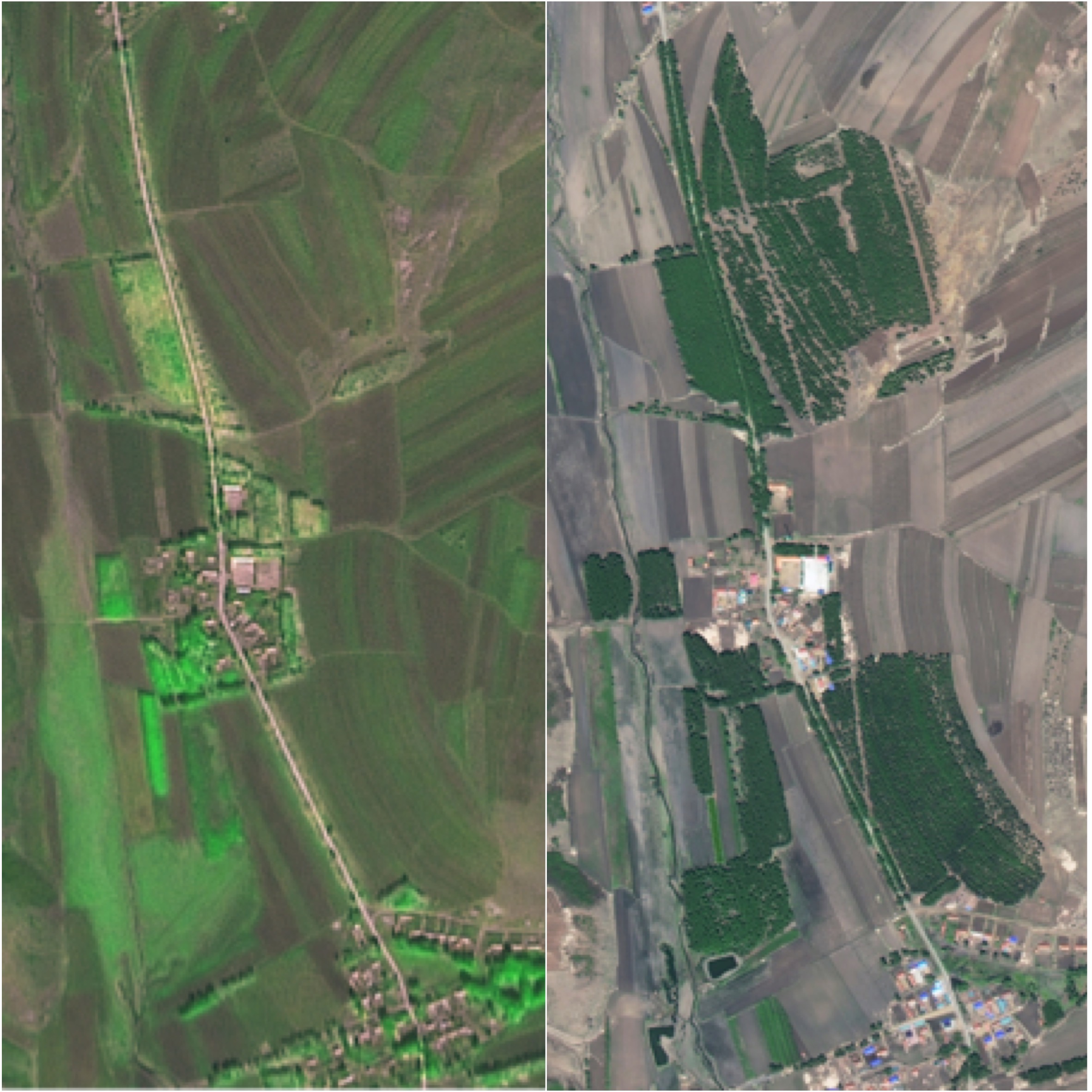 Satellite images show forest increase in China