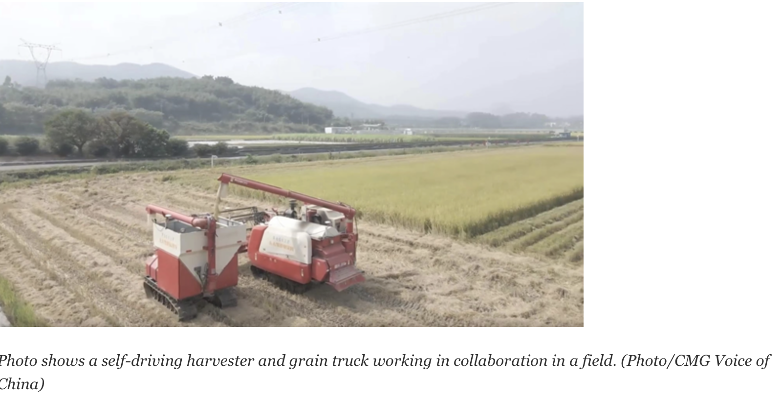 Unmanned rice farm in Guangdong completes harvest