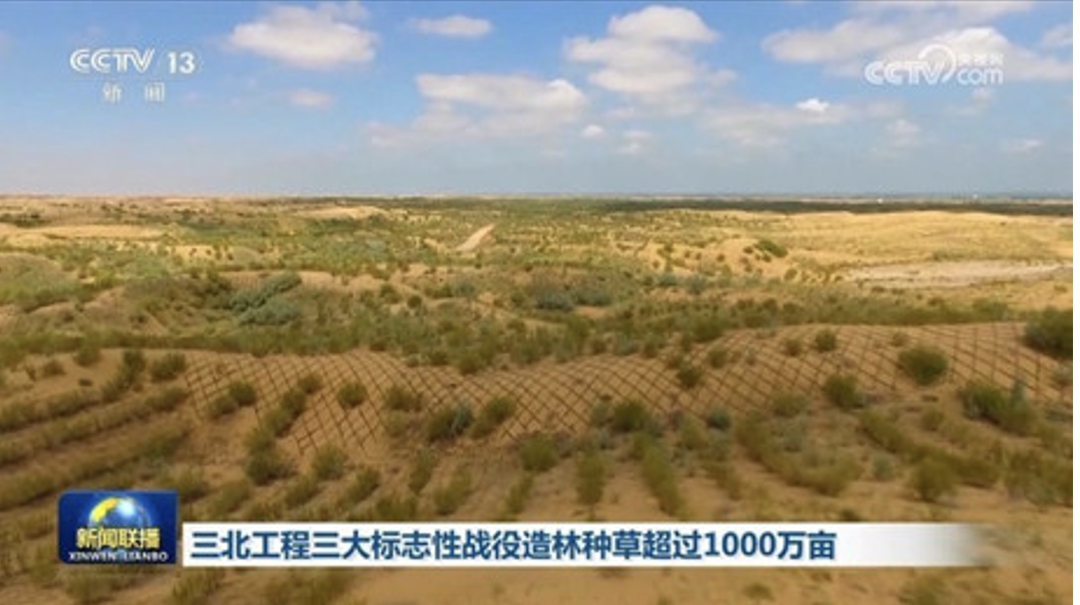Afforestation and grassland restoration in Northern China proceeds according to plan
