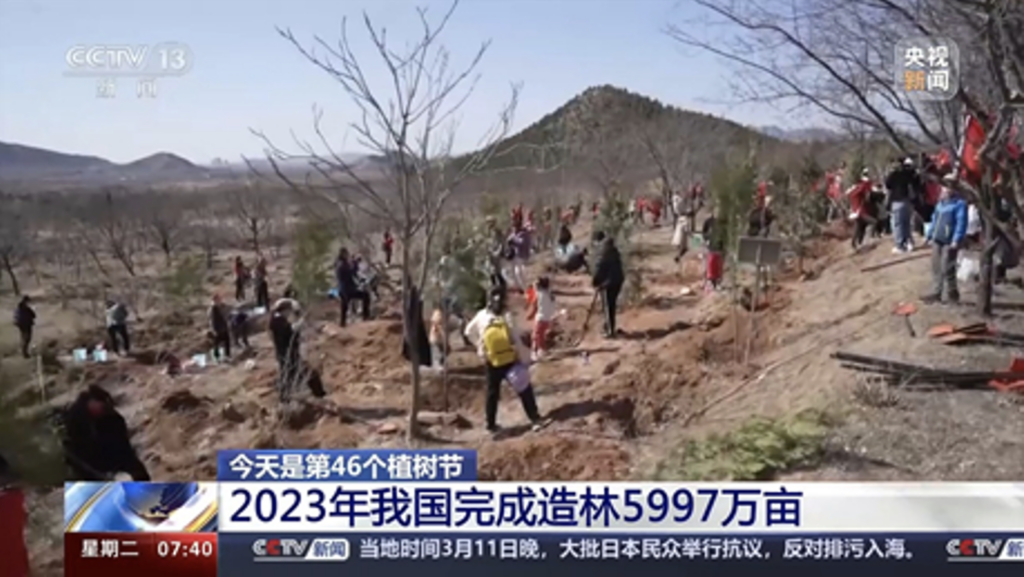 China’s afforestation programs: about 25% contribution to global greenlands