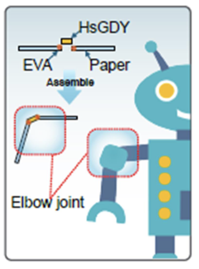 Bionic carbon-based artificial muscles show promising properties