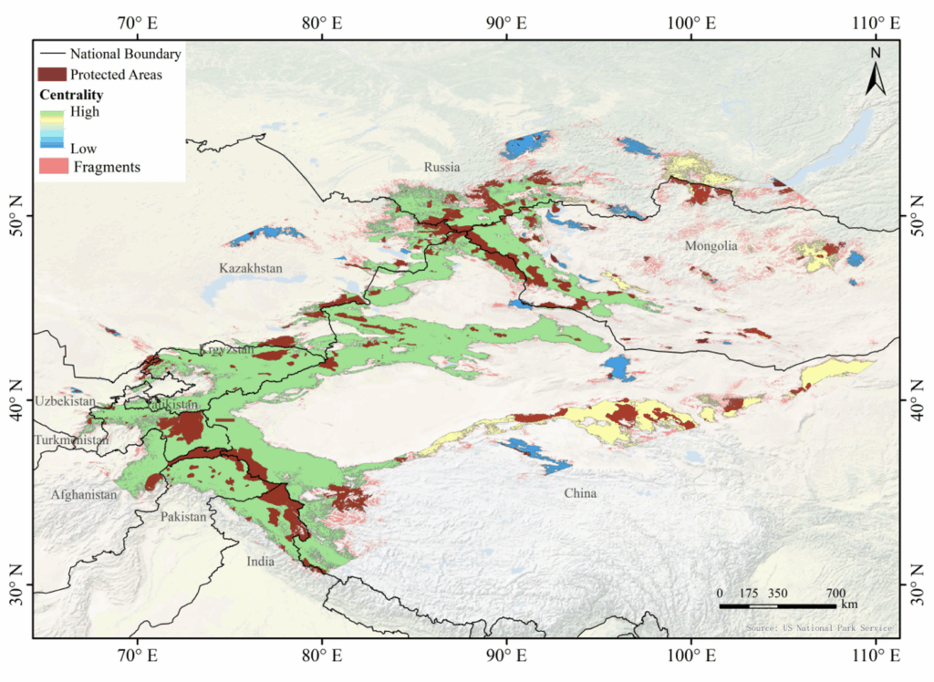 An attempt to organise Siberian goat protection across the borders of 11 nations