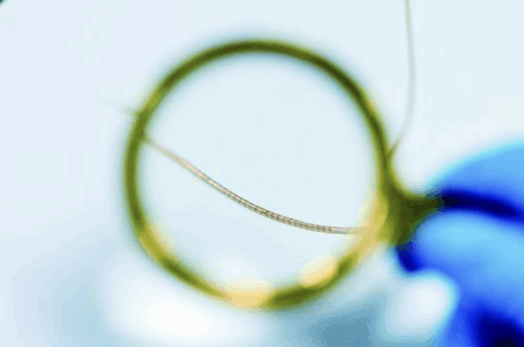 A movable long-term implantable soft microfibre “NeuroWorm” for brain-computer interfaces BCI