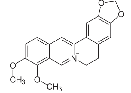 Synthetic biology: berberine production in Nicotiniana benthamiana