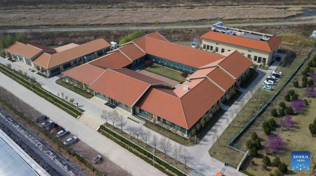 Shouguang germplasm resource center stores over 26,000 vegetable seed species