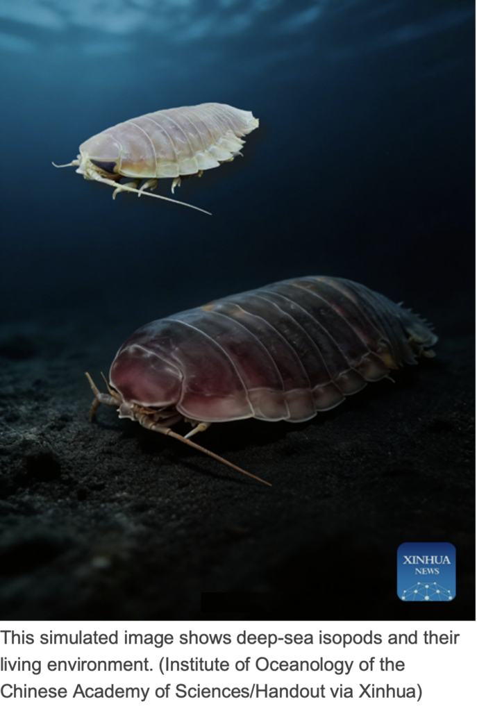 A deep-sea isopod uses horizontal gene transfer with a symbiotic bacterium to withstand ultra-long starvation